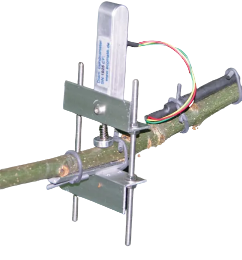 Дендрометр Pessl Instruments DN501